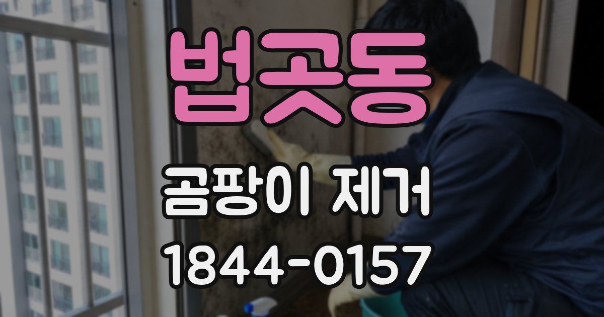 법곳동 곰팡이 제거