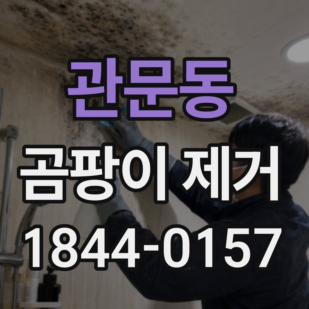 관문동 곰팡이 제거