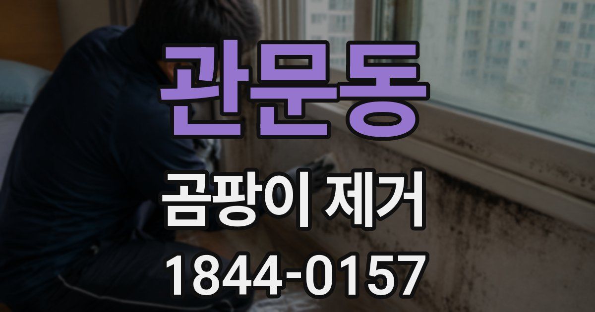 관문동 곰팡이 제거