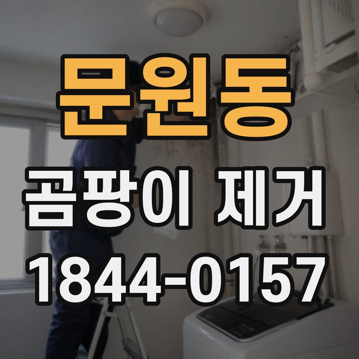 문원동 곰팡이 제거