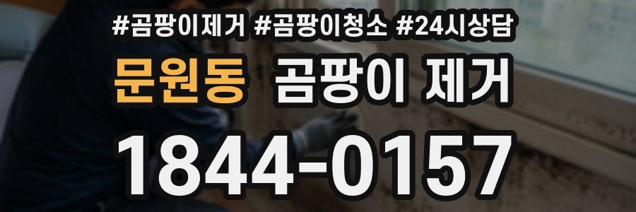 문원동 곰팡이 제거