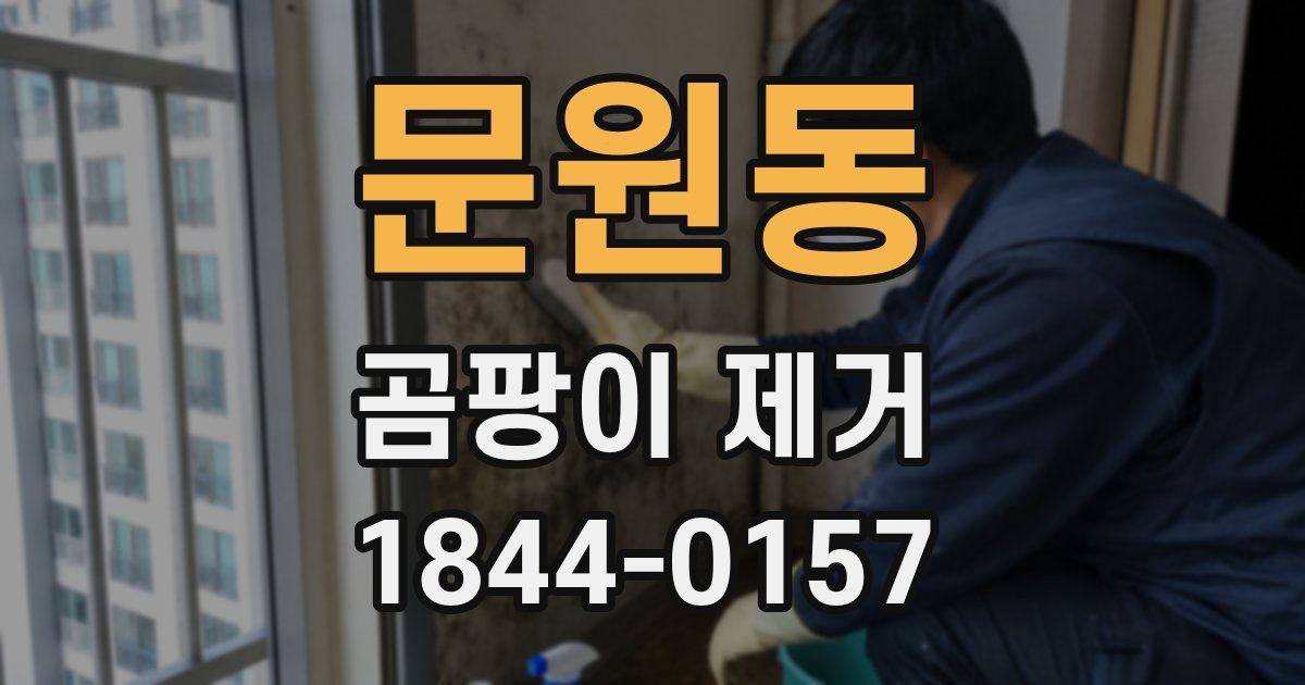 문원동 곰팡이 제거