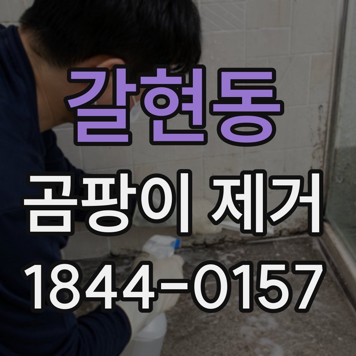 갈현동 곰팡이 제거