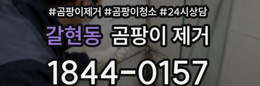 갈현동 곰팡이 제거