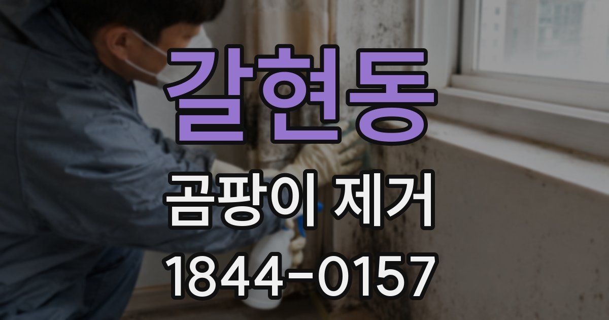 갈현동 곰팡이 제거