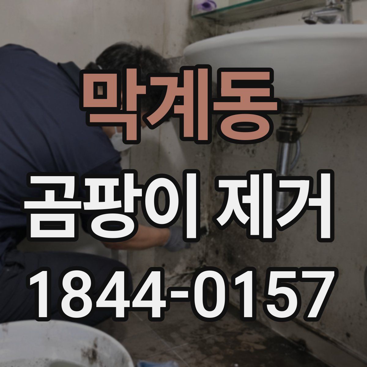 막계동 곰팡이 제거