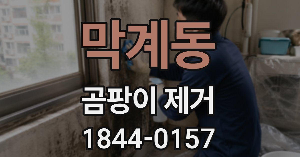막계동 곰팡이 제거