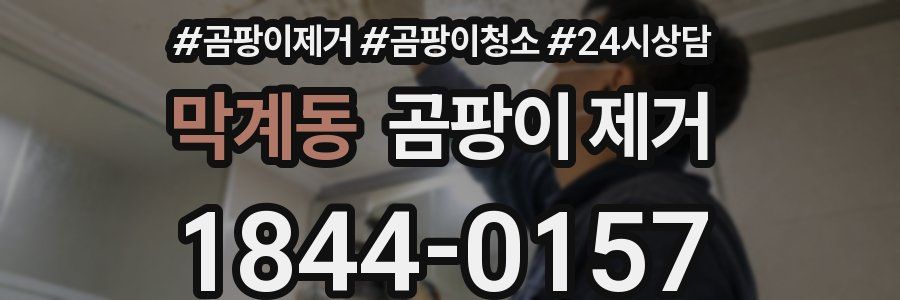 막계동 곰팡이 제거