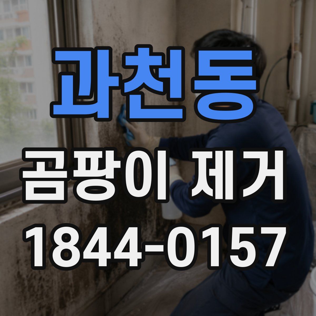과천동 곰팡이 제거