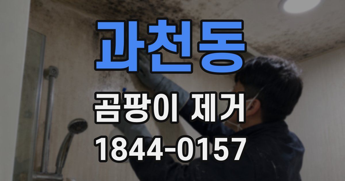 과천동 곰팡이 제거
