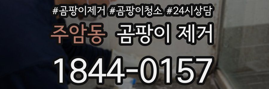 주암동 곰팡이 제거