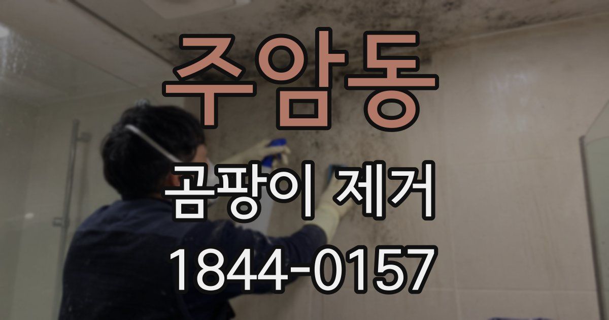 주암동 곰팡이 제거