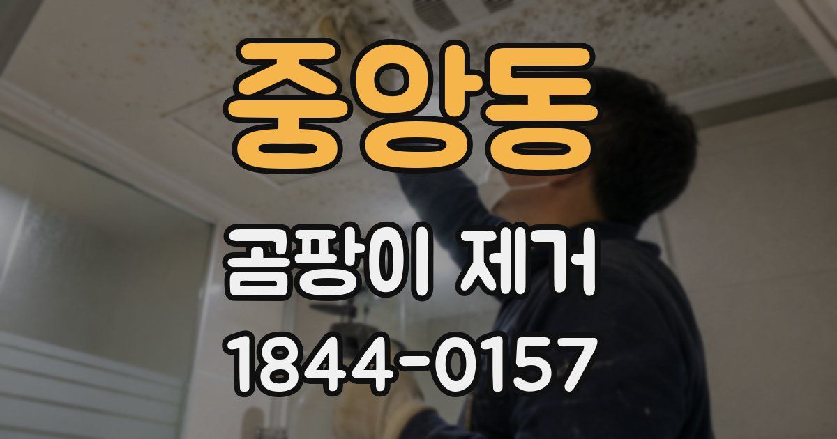 중앙동 곰팡이 제거