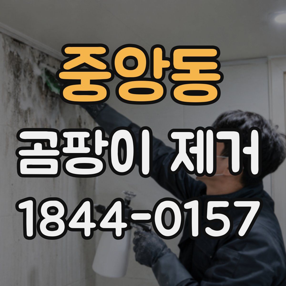 중앙동 곰팡이 제거
