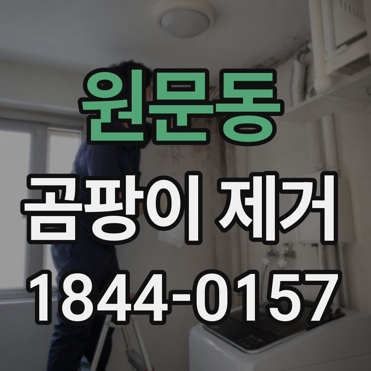 원문동 곰팡이 제거