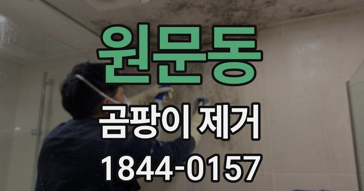 원문동 곰팡이 제거