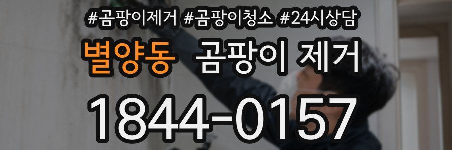 별양동 곰팡이 제거