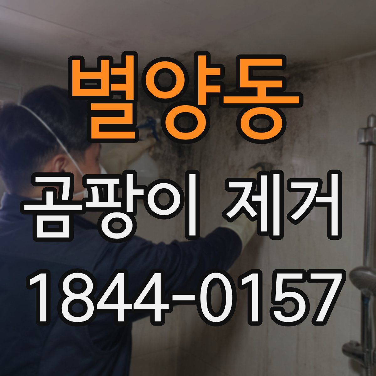 별양동 곰팡이 제거