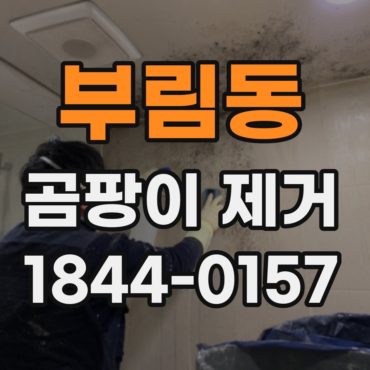 부림동 곰팡이 제거