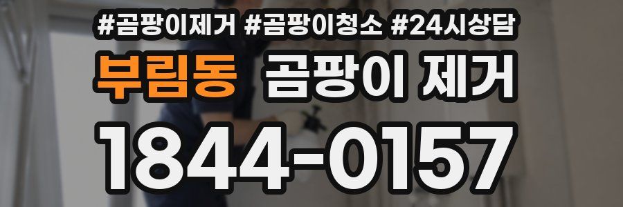 부림동 곰팡이 제거