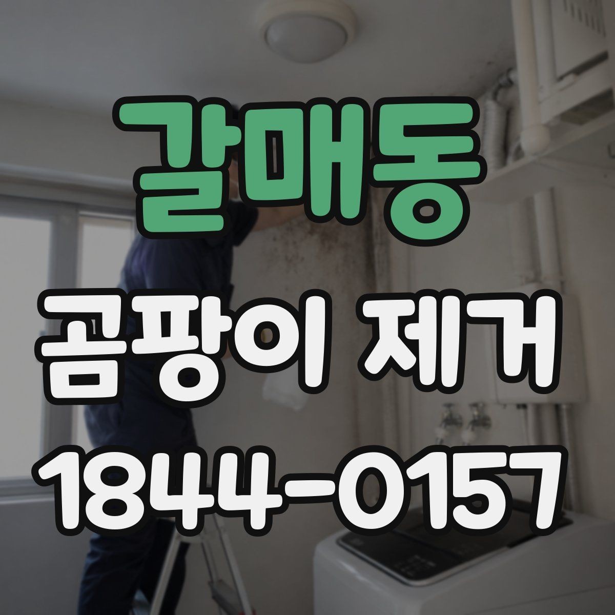 갈매동 곰팡이 제거 누수 의심 시 점검해야 할 단계
