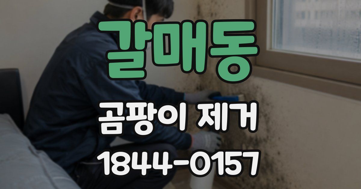 갈매동 곰팡이 제거