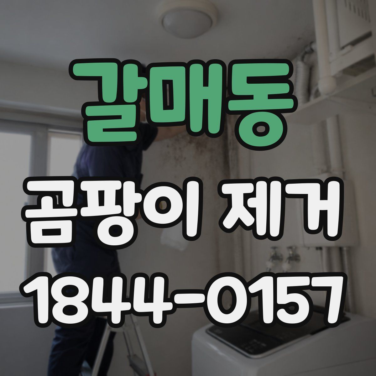갈매동 곰팡이 제거