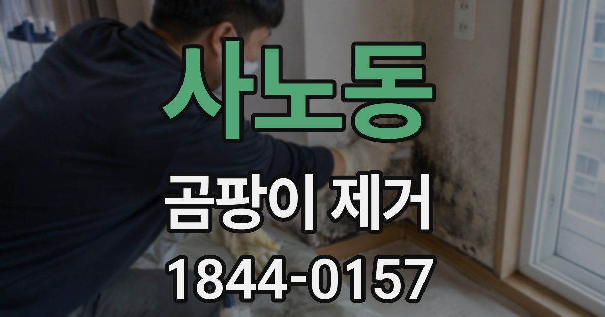 사노동 곰팡이 제거