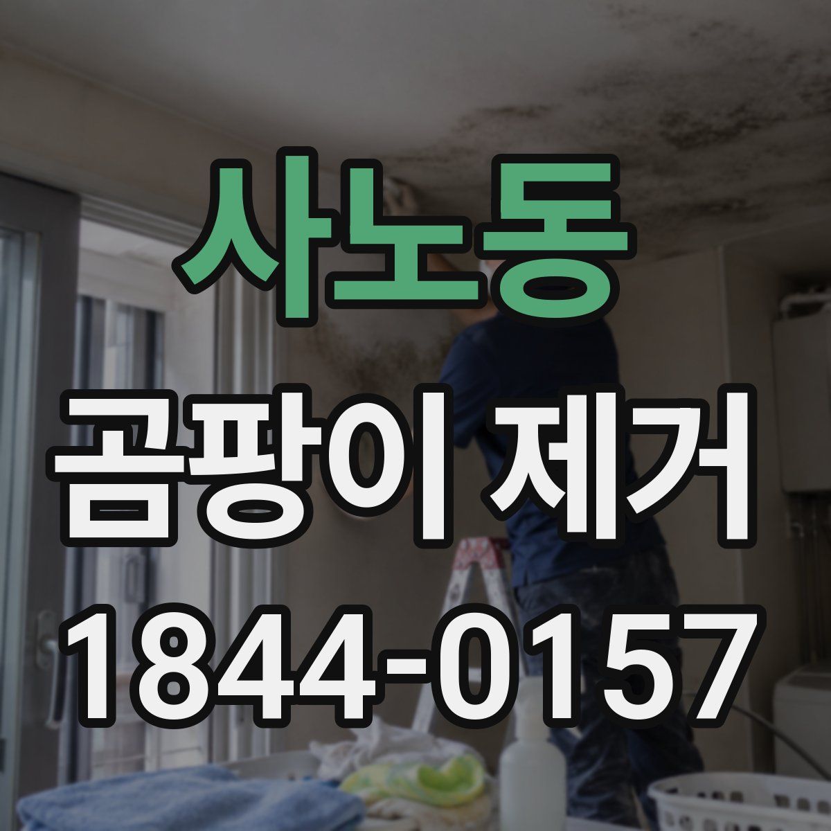 사노동 곰팡이 제거