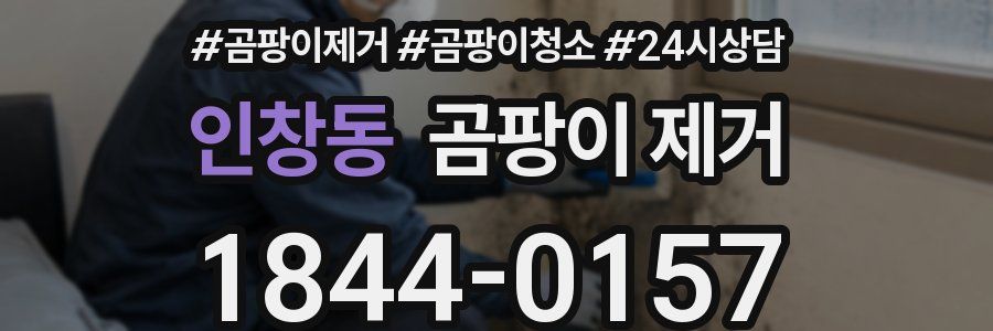 인창동 곰팡이 제거