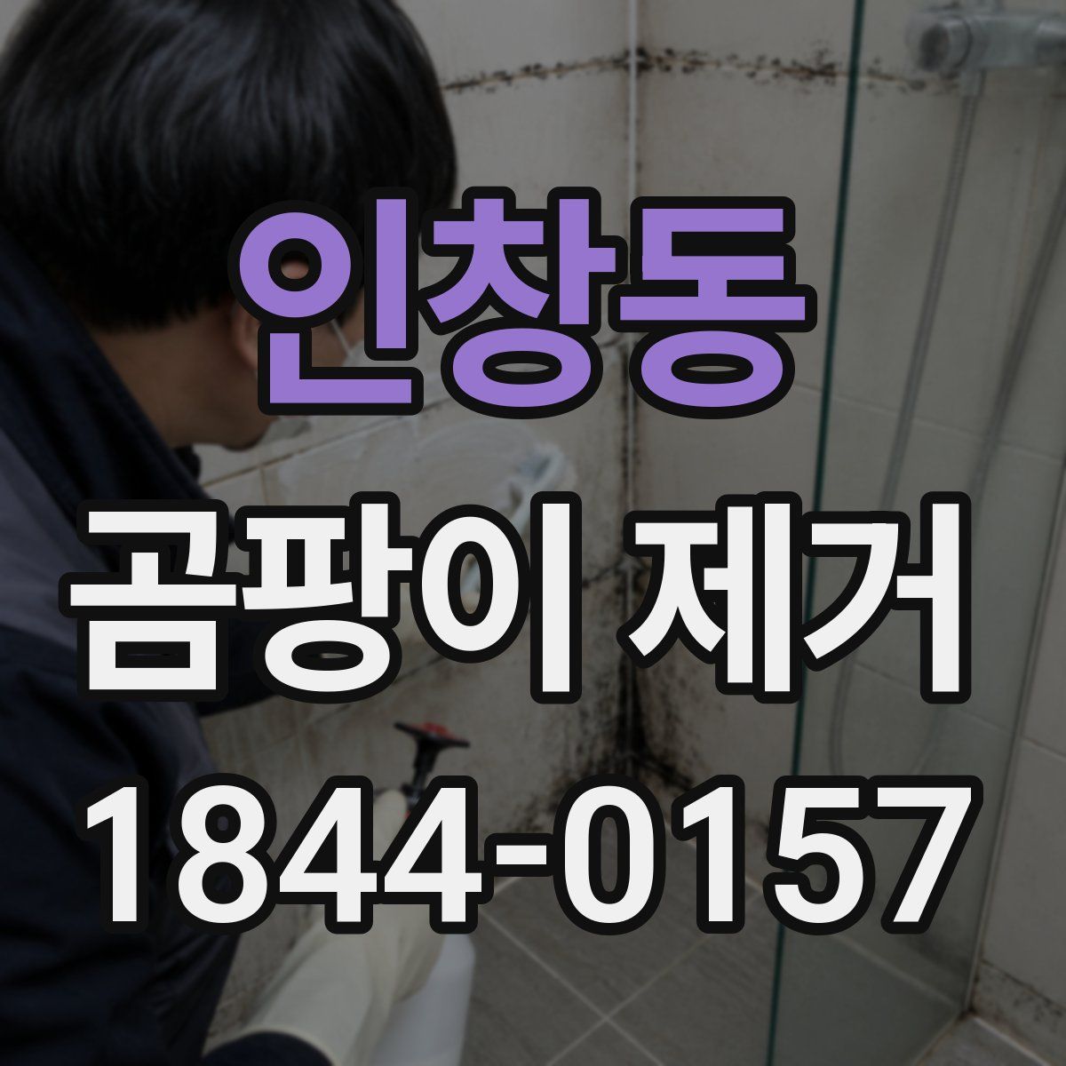 인창동 곰팡이 제거