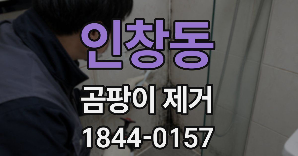 인창동 곰팡이 제거