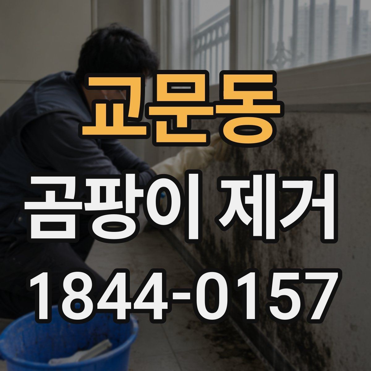 교문동 곰팡이 제거 도배·페인트 전 꼭 확인할 순서