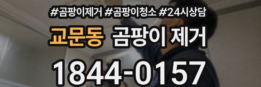 교문동 곰팡이 제거