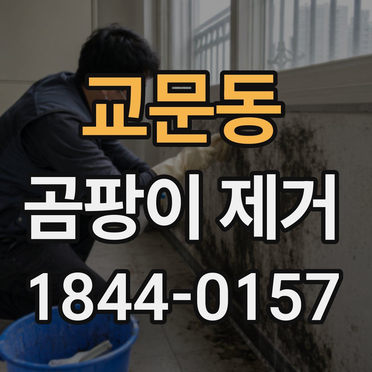 교문동 곰팡이 제거