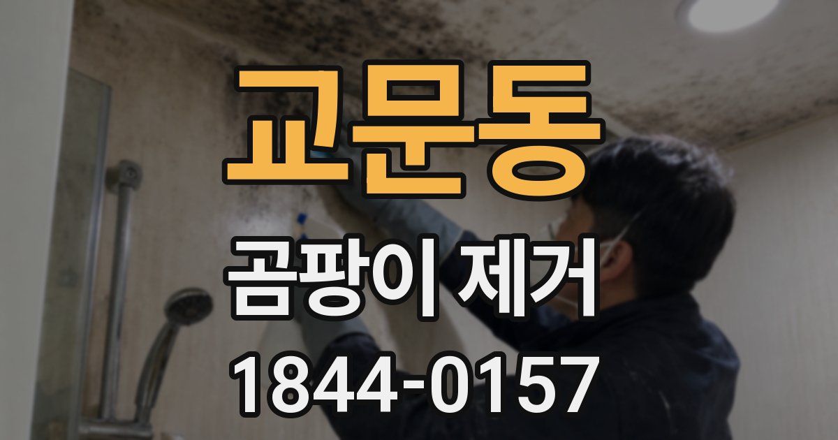 교문동 곰팡이 제거