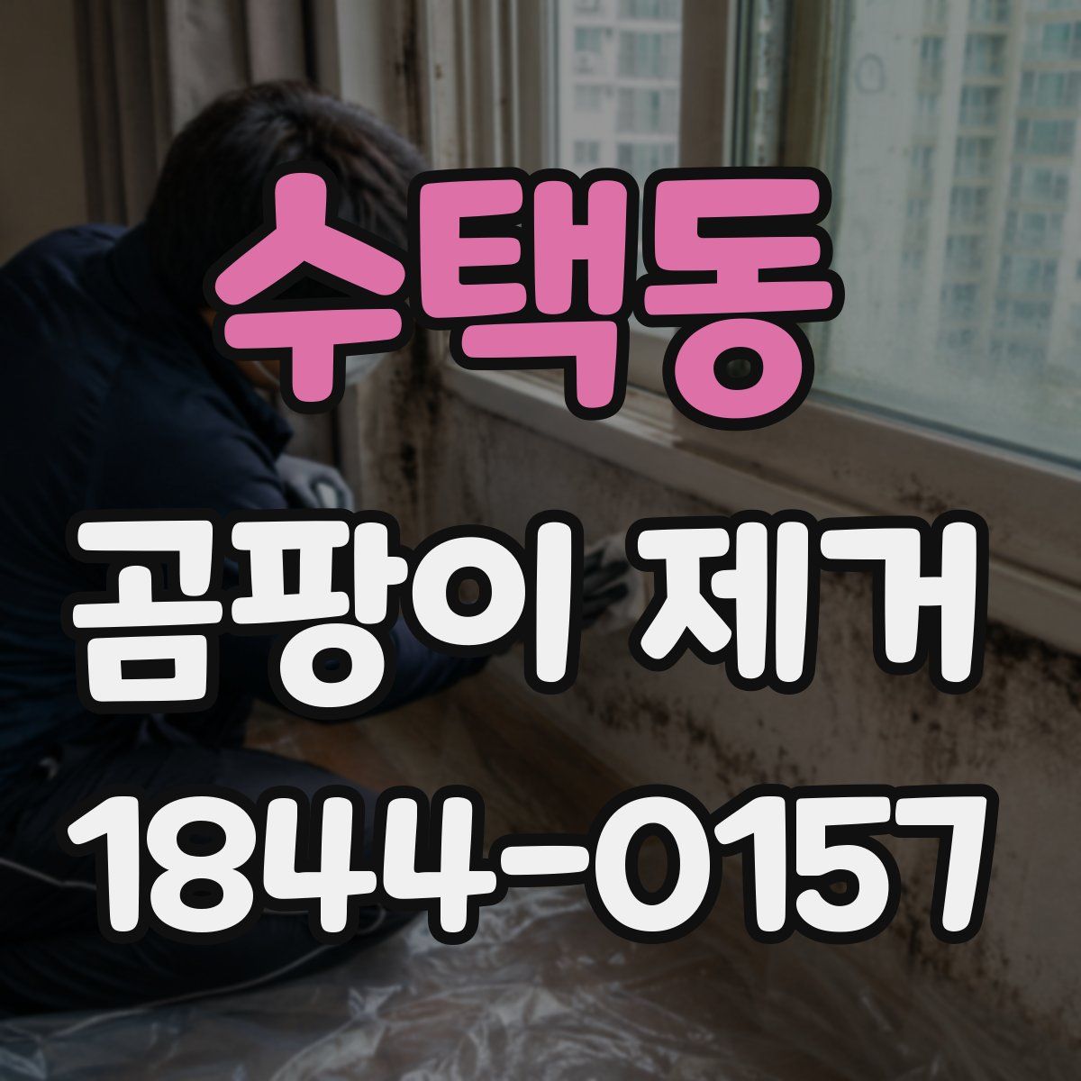 수택동 곰팡이 제거