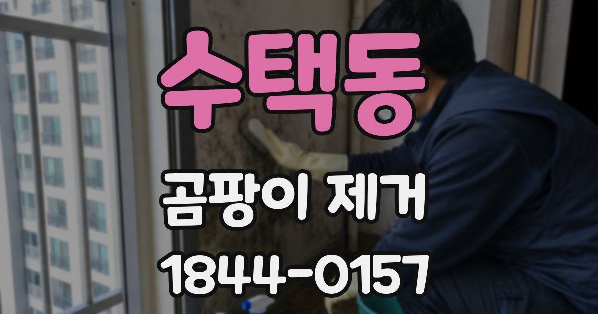 수택동 곰팡이 제거