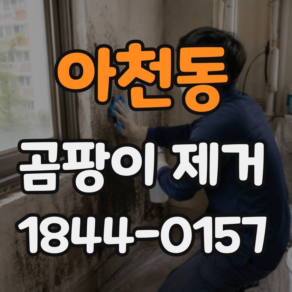 아천동 곰팡이 제거