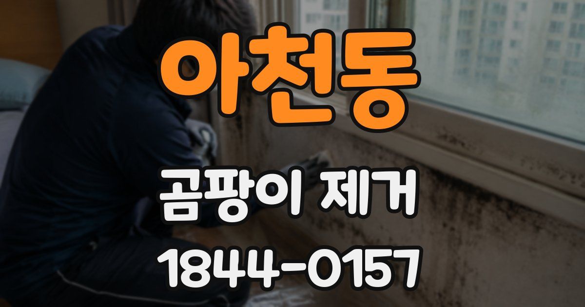 아천동 곰팡이 제거