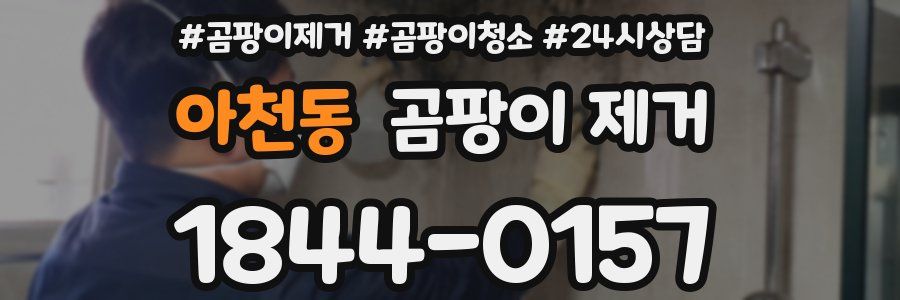 아천동 곰팡이 제거