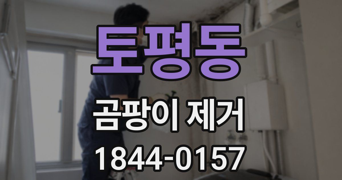 토평동 곰팡이 제거