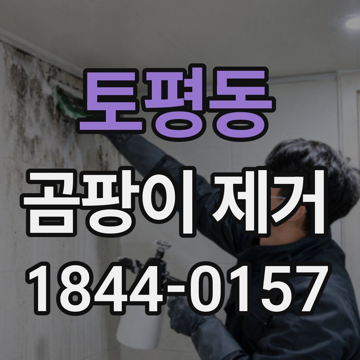 토평동 곰팡이 제거