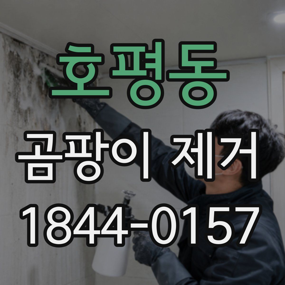 호평동 곰팡이 제거