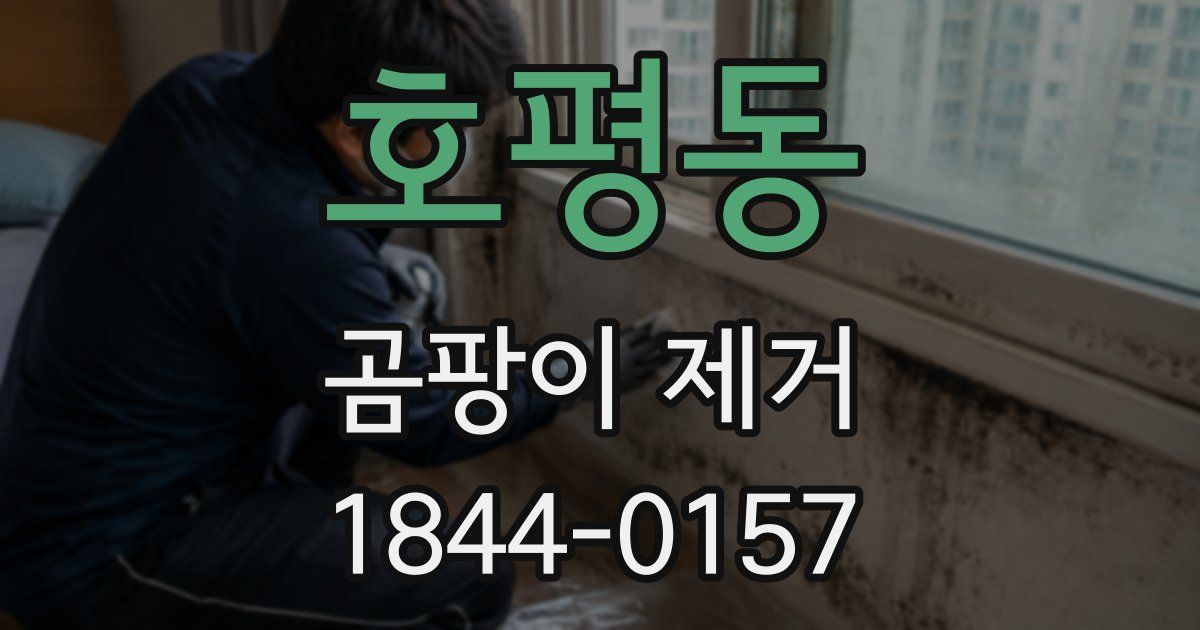 호평동 곰팡이 제거