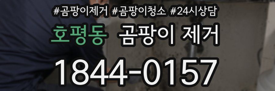 호평동 곰팡이 제거