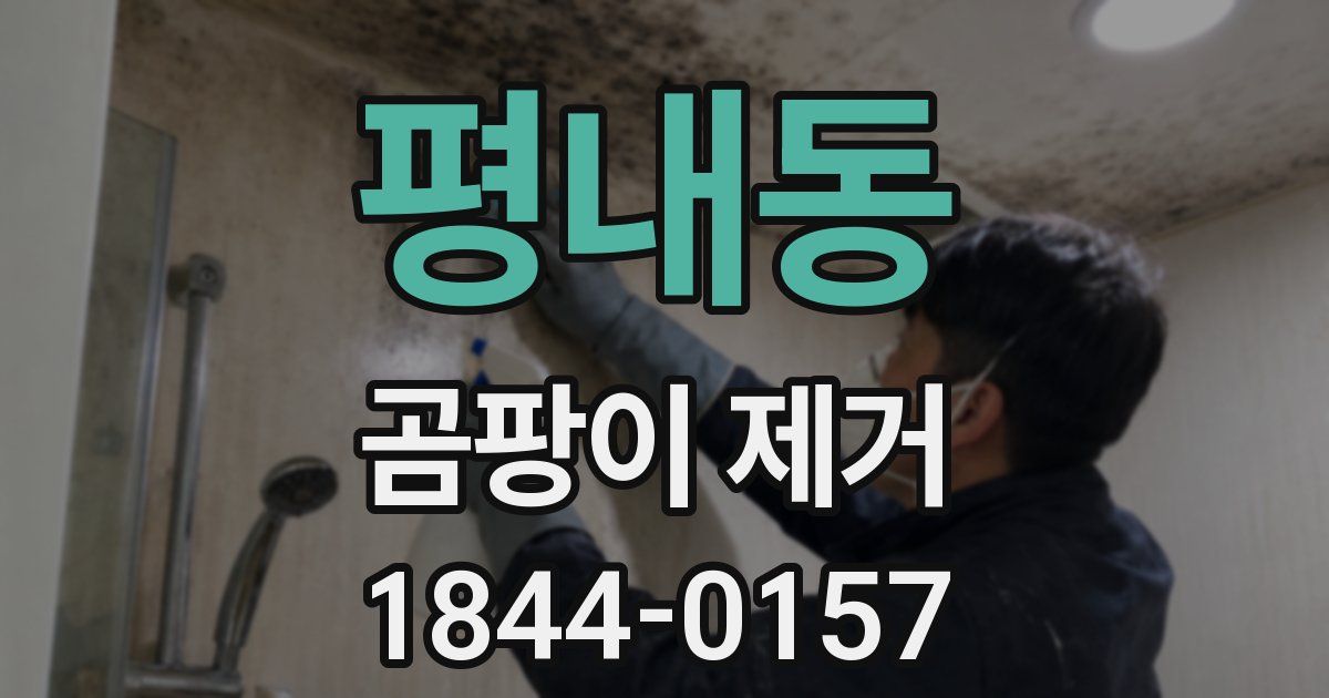 평내동 곰팡이 제거