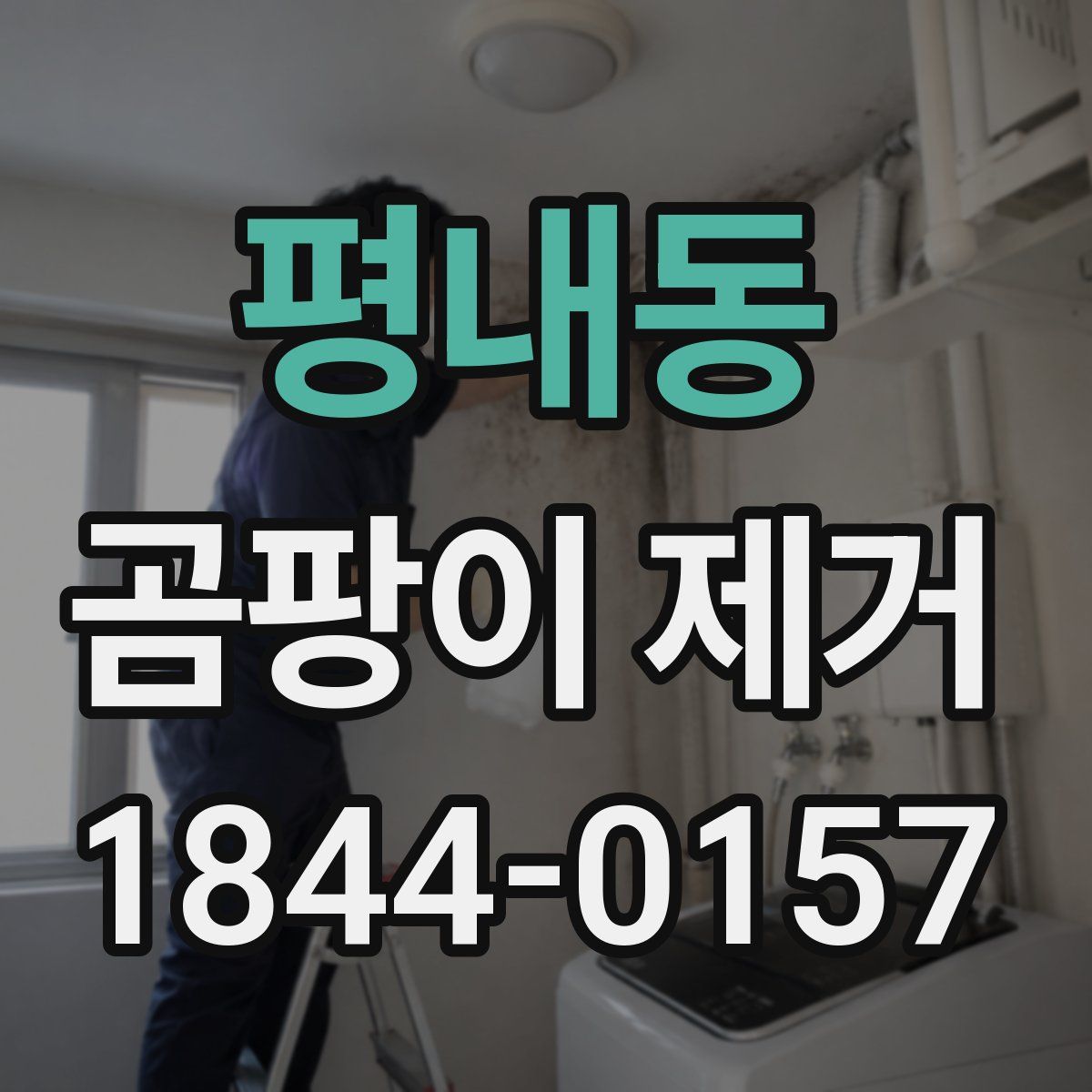 평내동 곰팡이 제거