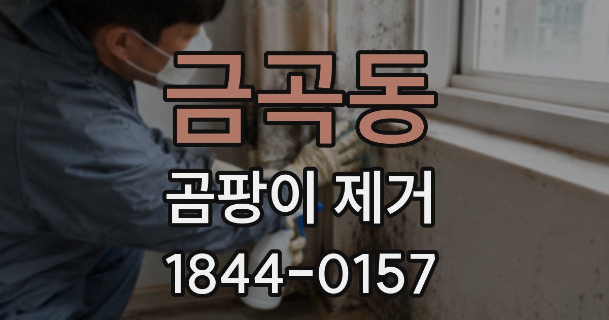 금곡동 곰팡이 제거