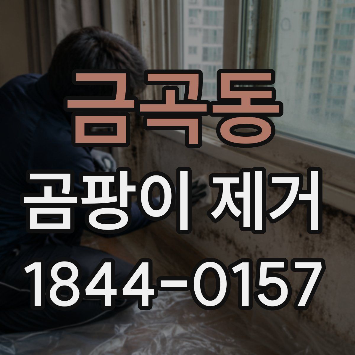 금곡동 곰팡이 제거